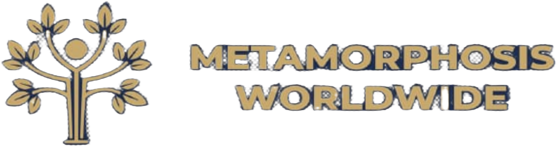 Metamorphosis LMS